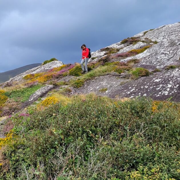 Joyful person leaping amidst autumn mountains while engaged in hiking as a recreational activity - Hike the Kerry way with Sherry Ott - VendorHike & Nature - JOURNEY - Zhoola