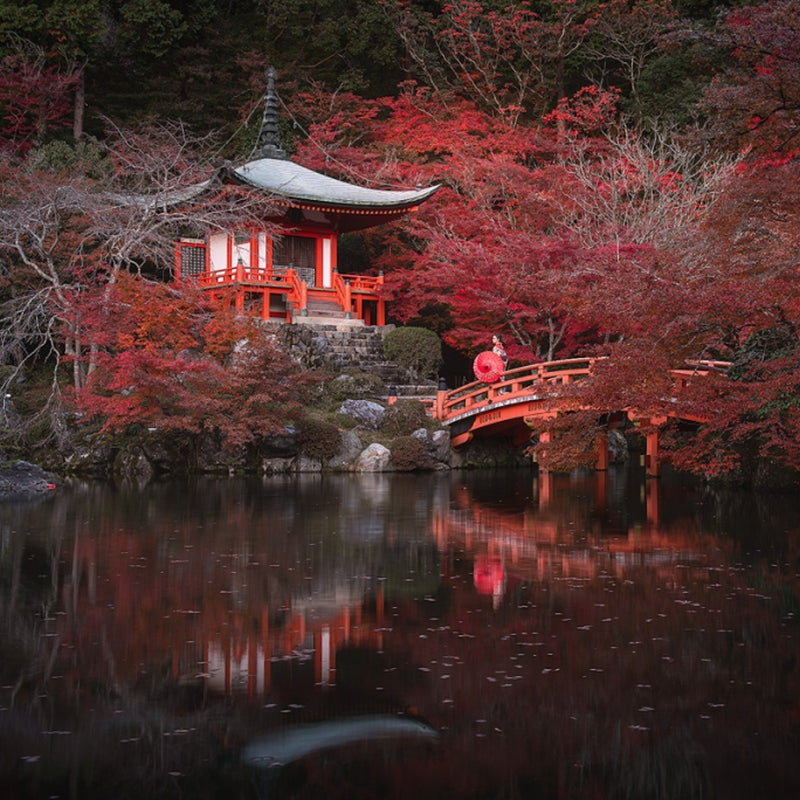 Load image into Gallery viewer, Japan in Autumn with Daniel Kordan &amp; Lurie-Japan-Photography-Zhoola
