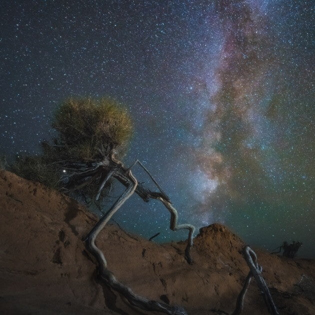 Load image into Gallery viewer, Capturing the Beauty of a Moonless Gobi Desert Night - The Silk Road &amp; Eagle Hunters with Bayar, Erdenebulgan &amp; Andy - Photography - WORKSHOP - Zhoola
