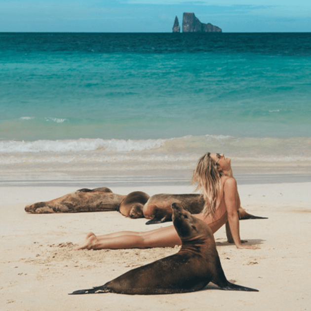 A girl practicing yoga on a beach in the Galapagos with curious sea lions nearby, creating a unique and serene yoga experience - Luxury Galapagos with Kiersten, Caity & Cecibel - Cruise & Eco (Women only) - Expedition - Zhoola