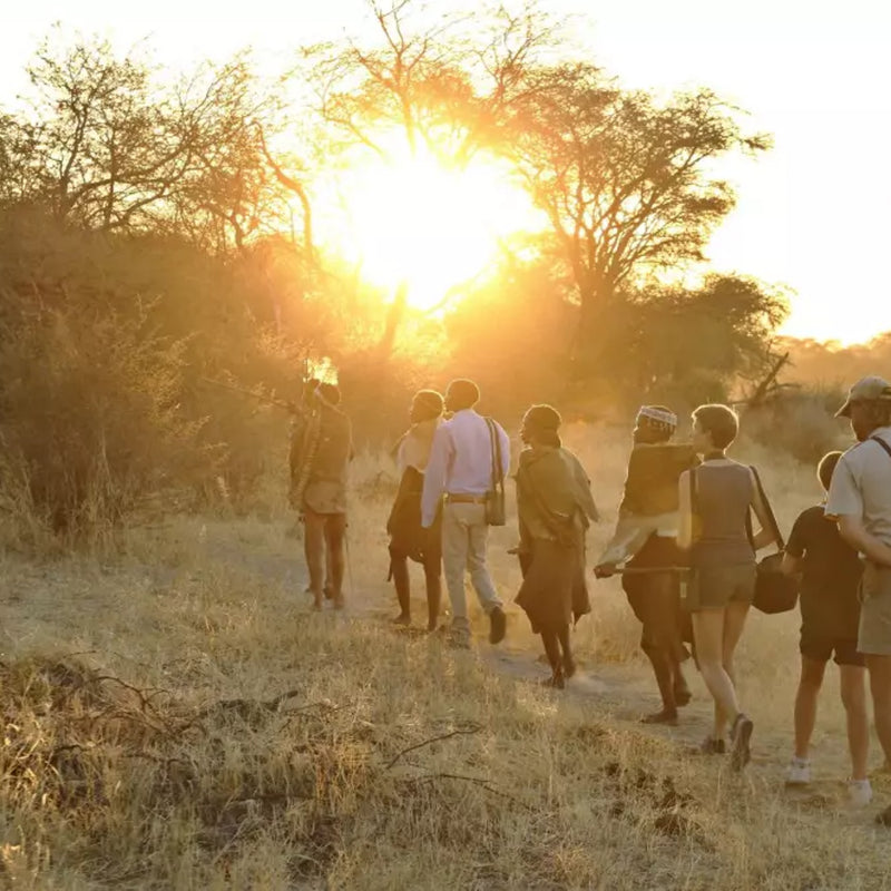 Load image into Gallery viewer, Exploring the Wild: Travelers Venture Through the Lush Jungle - Safari in the Okavango Delta in Botswana with Sebastian &amp; Lin-1 -VendorSafari &amp; Nature - EXPEDITION - Zhoola
