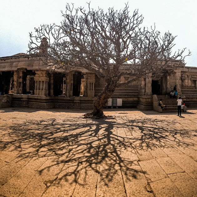 Hidden Gems with Ajay Sood-India-Photography & Heritage-Zhoola