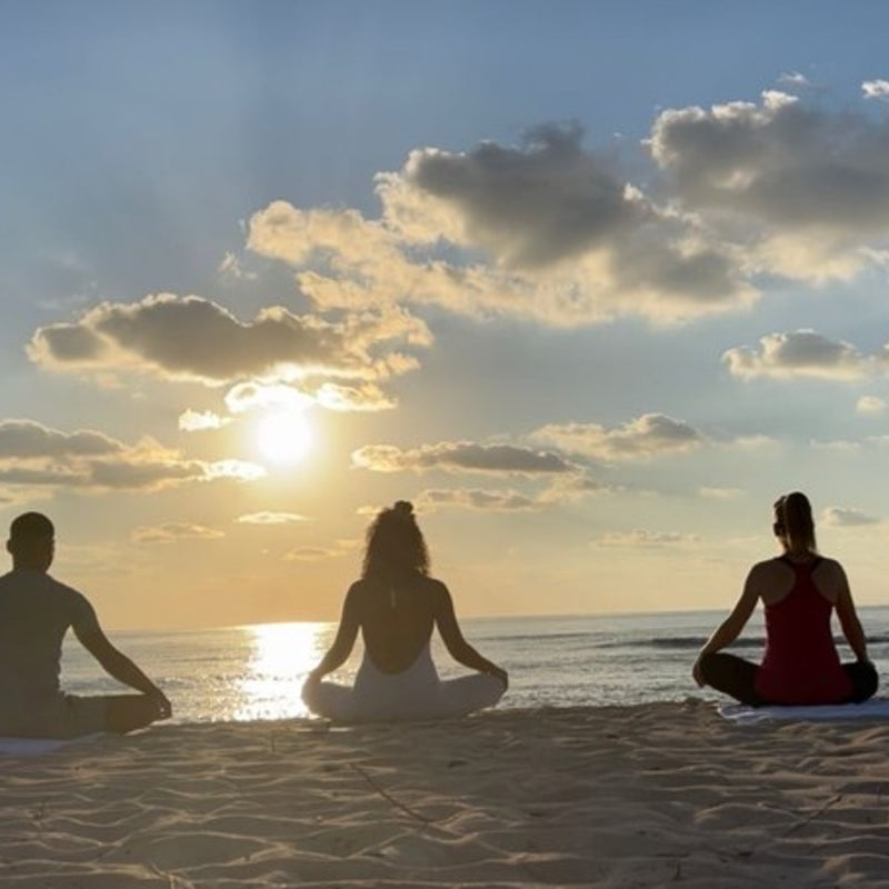 Load image into Gallery viewer, Meditation at Lotus pose in Beachside - Tranquility and natural splendor with Nateea - Yoga and Safari - RETREAT - Zhoola
