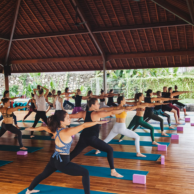 A group of individuals engaged in a yoga session within a tranquil yoga shala.Signature India with Sandhya Balakrishnan - Yoga & Exploration - Journey - Zhoola