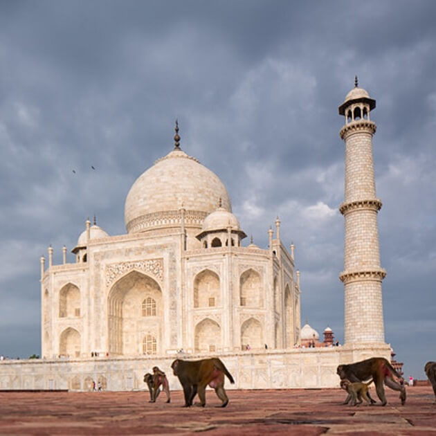 The Land of the Maharajas with Ajay Sood-India-Photography & Heritage-Zhoola