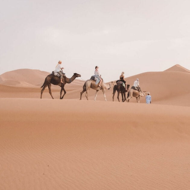 Load image into Gallery viewer, Ride a camel through the Sahara - Culture &amp; Glamping (Women only) - Journey - Zhoola

