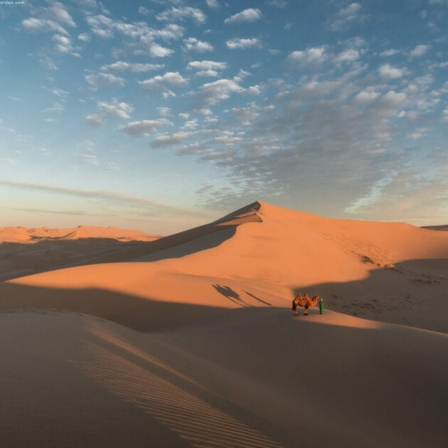 Exploring the Gobi Desert's Sunset and Night Photography Opportunities - The Silk Road & Eagle Hunters with Bayar, Erdenebulgan & Andy - Photography - WORKSHOP - Zhoola