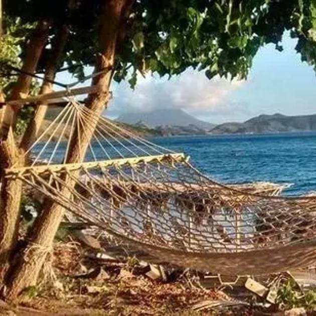 Load image into Gallery viewer, Hammocks gently swaying between palm trees on a sandy beach - Back to your Roots at Nevis with Amanda Parr - VendorYoga &amp; Scuba Diving - RETREAT - Zhoola
