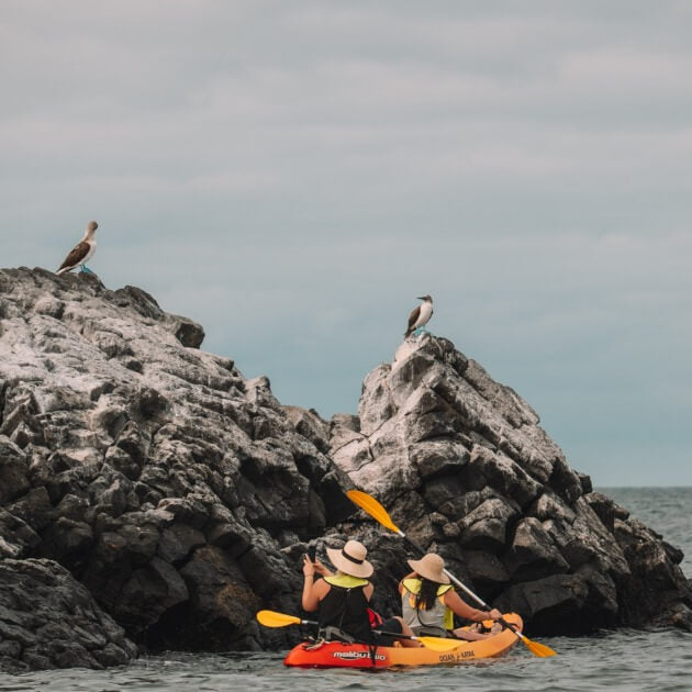 Kayaking near rugged coastal rocks - Luxury Galapagos with Kiersten, Caity & Cecibel - Cruise & Eco (Women only) - Expedition - Zhoola