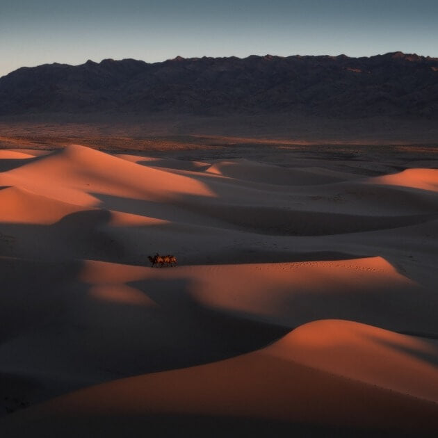 Khongor Sand Dunes at the Mesmerizing Sunset Hour - The Silk Road & Eagle Hunters with Bayar, Erdenebulgan & Andy - Photography - WORKSHOP - Zhoola