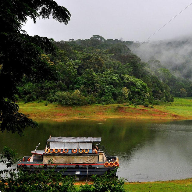 Boat moored at Periyaar Lake, Kerala God's own country with Sandhya Balakrishnan-India-Yoga & Nature-Zhoola